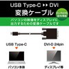 CAC-CDVI20BK Type-CϊP[u ^CvC-DVI ~[OΉ ubN GR 46282959
