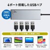 400-HUBC28GM USB�n�u USB TypeC �T�����_�C���N�g 46359376