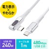 USB TypeCP[u USB2.0 PD240WΉ