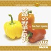MIXA IMAGE LIBRARY Vol.343 スーパーリアルイラスト 野菜・果実2 