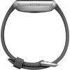 FB415SRGY Fitbit Versa Lite Fitbit 46766135