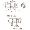 47076005,47075971