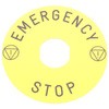 47093577