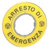 47093629