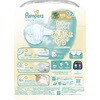 - パンパース はじめての肌へのいちばん テープ P&G 47856578