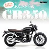 21912 VELONA  ^R[^[Lbg 48 DAYTONA(fCgi) 47860480