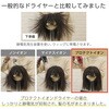 TD670A-K ヘアドライヤー プロテクトイオン 折りたたみ ハイパワー 大風量 大風圧 温度/風量切替スイッチ 3段階 速乾 静電気抑制 ラク抜きプラグ Speedom テスコム 47957134