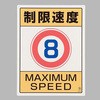 48161839