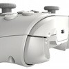 DIREWOLF-WIRELESS CXQ[Rg[[ FLYDIGI 48285590