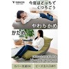 BS42-1465(PI/GY) r[Y\t@ YAMAZEN(RP) 48313188