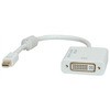 ROLINE adapter Mini DP - DVI  M/F  v 1.2 ROLINE