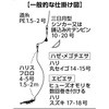 48517624
