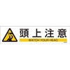 入数：3枚