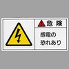 48556919