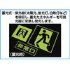EA983AH-55 [高輝度蓄光式]避難口標識 エスコ 48575207