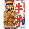 DONBURI亭牛丼 グリコ