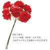 ZPC-YM1 ペーパーカラフルフルリール HEADS(ヘッズ) 48687845