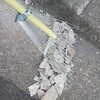 48707277