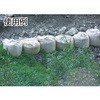 48906751
