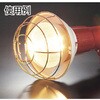 RT-205EP アース付投光器 200W TRUSCO 48931382
