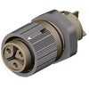 46.031.5050.4 Wieland RST Mini�V���[�Y �W�����i�b�g�R�l�N�^ 3P Wieland 48932644