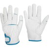 女性用革手袋 MT-550 ミドリ安全