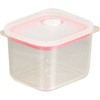 Easy Clean 深型密閉保存容器 パール金属