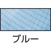 49054241,49054257