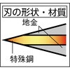 49054397