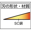 49054494