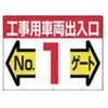 49056384