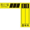 49056795