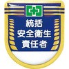 49057066
