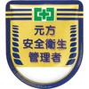 49057075
