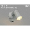 人感センサー スポットライト