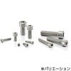 SNSTG 高強度チタン六角穴付きボルト NBK(鍋屋バイテック会社)