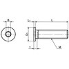 SSHS-M4-60-FT SSHS-FT Zptɒᓪ{g(S˂) NBK(牮oCebN) 49279002
