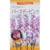 千鳥草種