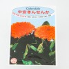 キンセンカ