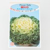 葉牡丹 苗