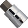 19 �w�L�T�S���\�P�b�g 12.7sq ���m�^���E 49439364