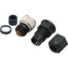 M12 CONN ASSY SCREW AMPHENOL