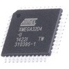 49525203