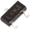 49652786