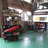 49674784