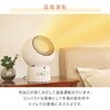 YAR-ZD171(W) DC[^[ zbg&N[t@ YAMAZEN(RP) 49735788