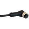 PXPPVC12RAF05ACL010PVC Bulgin ���{�b�g�P�[�u�� M12�V���[�Y BULGIN 49880006