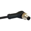PXPPVC12RAF05BCL010PVC Bulgin ���{�b�g�P�[�u�� M12�V���[�Y BULGIN 49880015