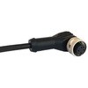 PXPPVC12RAF08ACL010PVC Bulgin ���{�b�g�P�[�u�� M12�V���[�Y BULGIN 49880024
