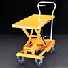 EA520X-2 500x830mm/250kg テーブルリフト エスコ 49896918